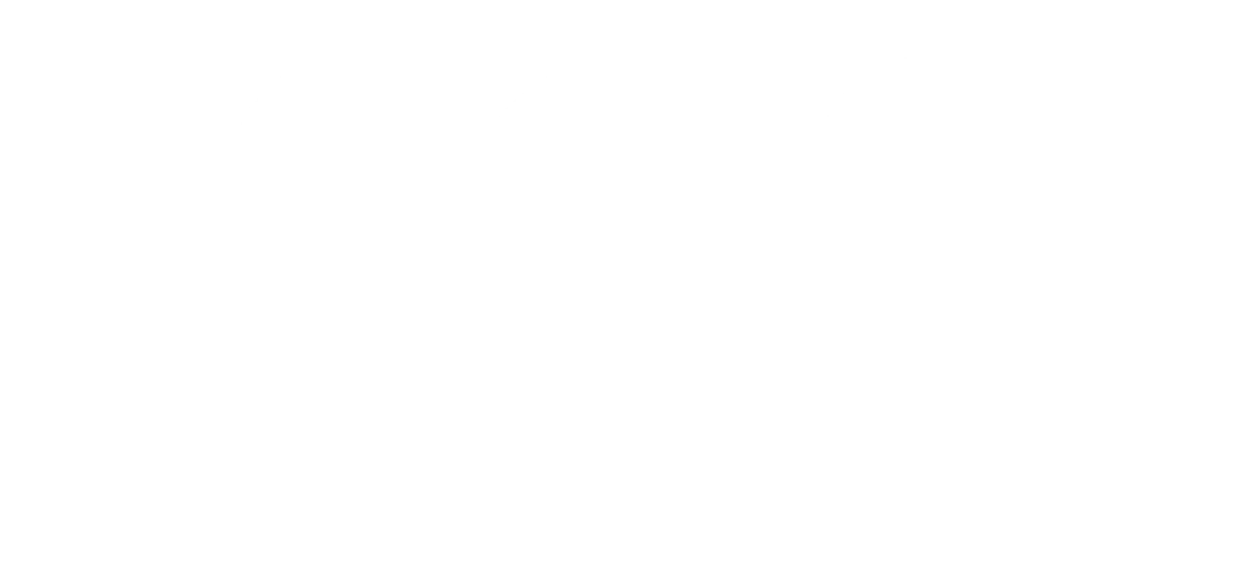 fd website sas scaled